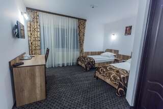 Отель Pensiunea Raxand Mioveni Стандартный двухместный номер с 2 отдельными кроватями-8