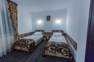 Отель Pensiunea Raxand Mioveni Стандартный двухместный номер с 2 отдельными кроватями-12